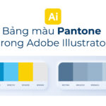 Tạo bảng màu Pantone trong Adobe Illustrator